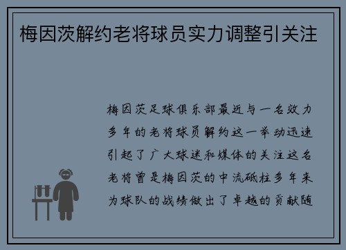 梅因茨解约老将球员实力调整引关注